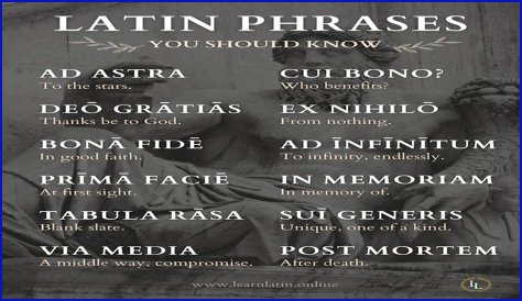 A Profile Of A Latin Beauty