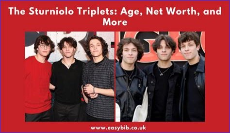 Sturniolo Triplets net worth, income and estimated earnings of Youtuber channel