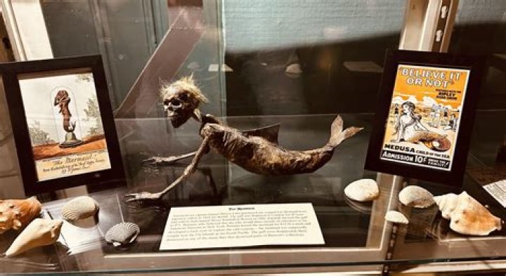 'I visited the museum of oddities and it's perfect for anyone who wants to see Amy Winehouse's poo' - Lea Dzifa Seeberg