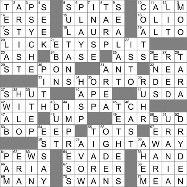 “Be My Baby” group, 1963 Crossword Clue NYT