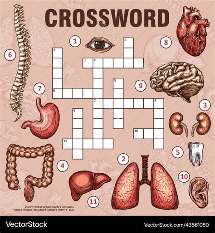 Costume parts Crossword Clue Thomas Joseph