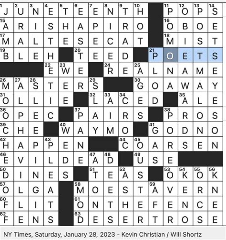 Lager descriptor Crossword Clue NYT